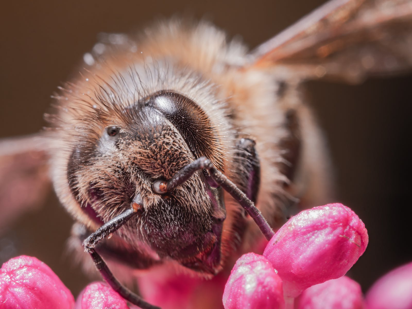 Ring Flash MFR76 vs Ring Light 72 Which Should You Use