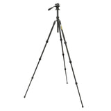 Punks Travis 2.0 Video Tripod Kit with AirHed Trinity Legs Fully Extended
