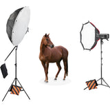 Godox AD600Pro II Portable Battery Studio Flash Kit for Outdoor & Equestrian Photography