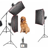 MS300V Indoor Studio Flash Lighting Kit for Pet & Animal Photography – Complete Professional Bundle