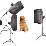 MS300V Indoor Studio Flash Lighting Kit for Pet & Animal Photography – Complete Professional Bundle