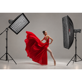 QT600IIIM Dual-Head High-Speed Motion-Freezing Kit for Dance & Action Portraits