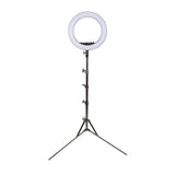 LR160 LED Ring Light Stand Video Reporter Kit (Suitable DSLR camera)
