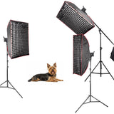 Professional SL100Bi 3-Head LED Studio Lighting Kit for Pets & Animal Photography