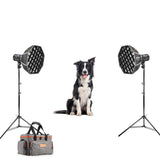 RS60Bi Battery LED Lighting Kit – Complete Outdoor Pet & Animal Photography Setup