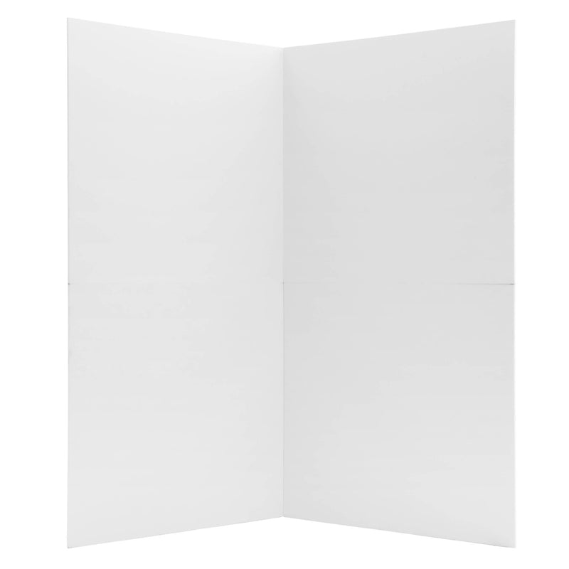 PIxapro 1x2m Foldable Black/white V-Flat Panel (White Side)