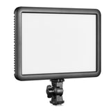 Godox LDP18D Daylight-Balanced On-Camera LED Light (SPECIAL ORDER)