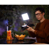 Godox LDP18D Daylight-Balanced On-Camera LED Light (SPECIAL ORDER)