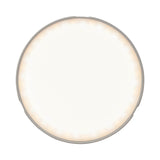 LITEMONS LR15BI Bi-Colour LED Selfie Light