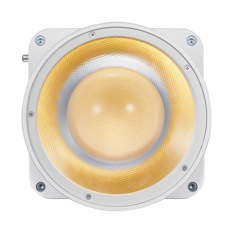 ML80Bi Compact, Portable LED Video Light with ML-Z Zoom Reflector