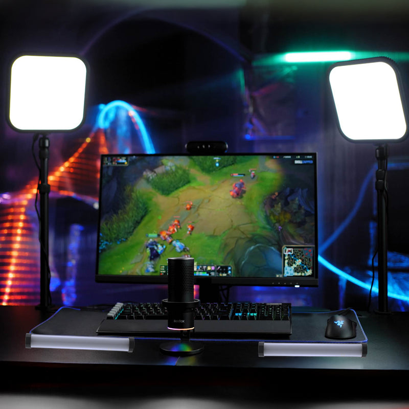 Godox ES30 Twin LED Live-Streaming Set-Up