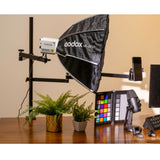 PiXAPRO Tabletop Gear Tree Clamp Sand in use with a light and smartphone mounted to it