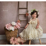 A young girl in a lace dress, sitting on a stool with flowers and pumpkins around, posing for a photo in front of a 2x3 Abstract Brown Beige Little Green Colour Studio Microfibre Photography Backdrop By Kate Backdrops 