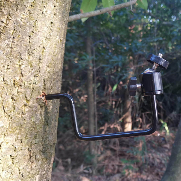 PIXAPRO SCREW-IN CAMERA MOUNT BRACKET WITH MINI BALL HEAD SCREWED INTO A TREE