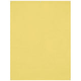 X-Drop 5'x7' Canary Yellow Wrinkle-Resistant Backdrop