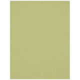 X-Drop 5'x7' Light Moss Green Wrinkle-Resistant Backdrop