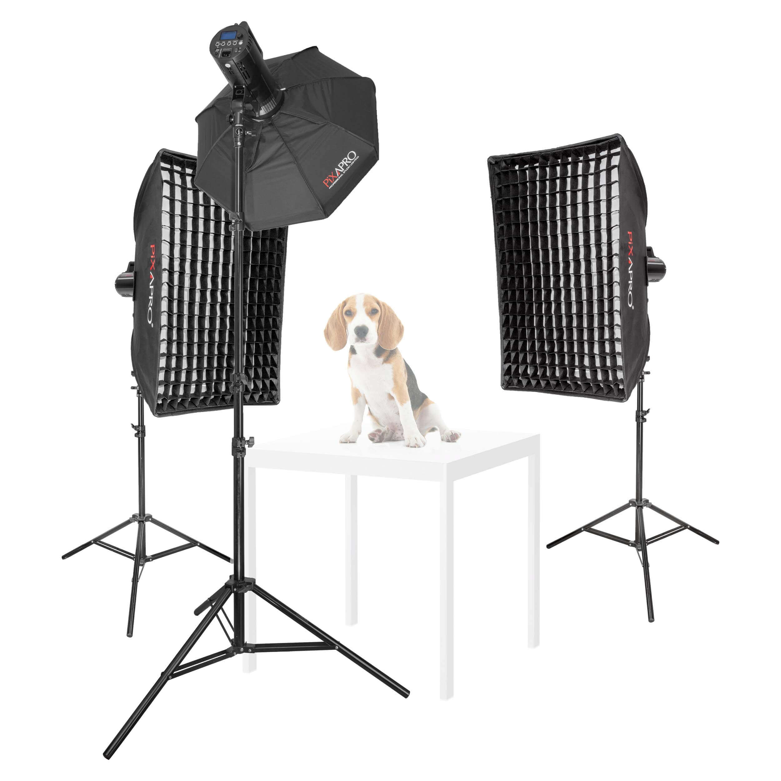 LUMI200II 3-Head LED Strobe Light Pet Portrait Photography Kit 