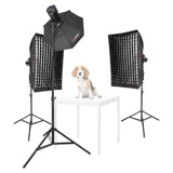LUMI200II 3-Head LED Strobe Light Pet Portrait Photography Kit 