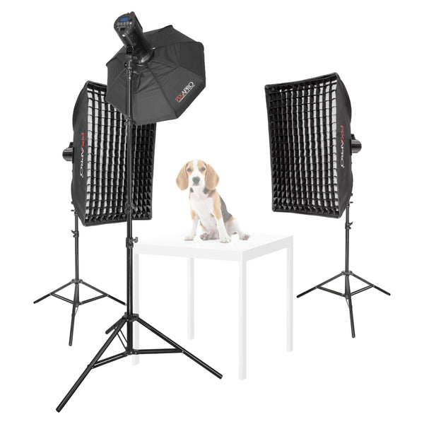 LUMI200II 3-Head LED Strobe Light Pet Portrait Photography Kit 