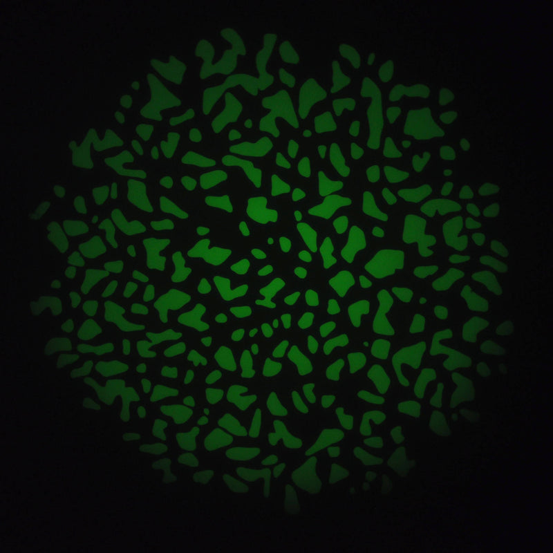 Image Taken Using Pixapro Optical Snoot