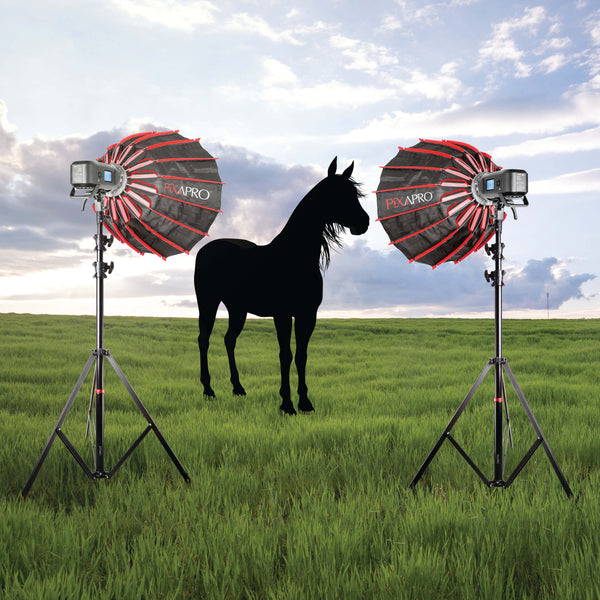 Equestrian Photography Studio Flash Lighting Kit with CITI600 PRO 