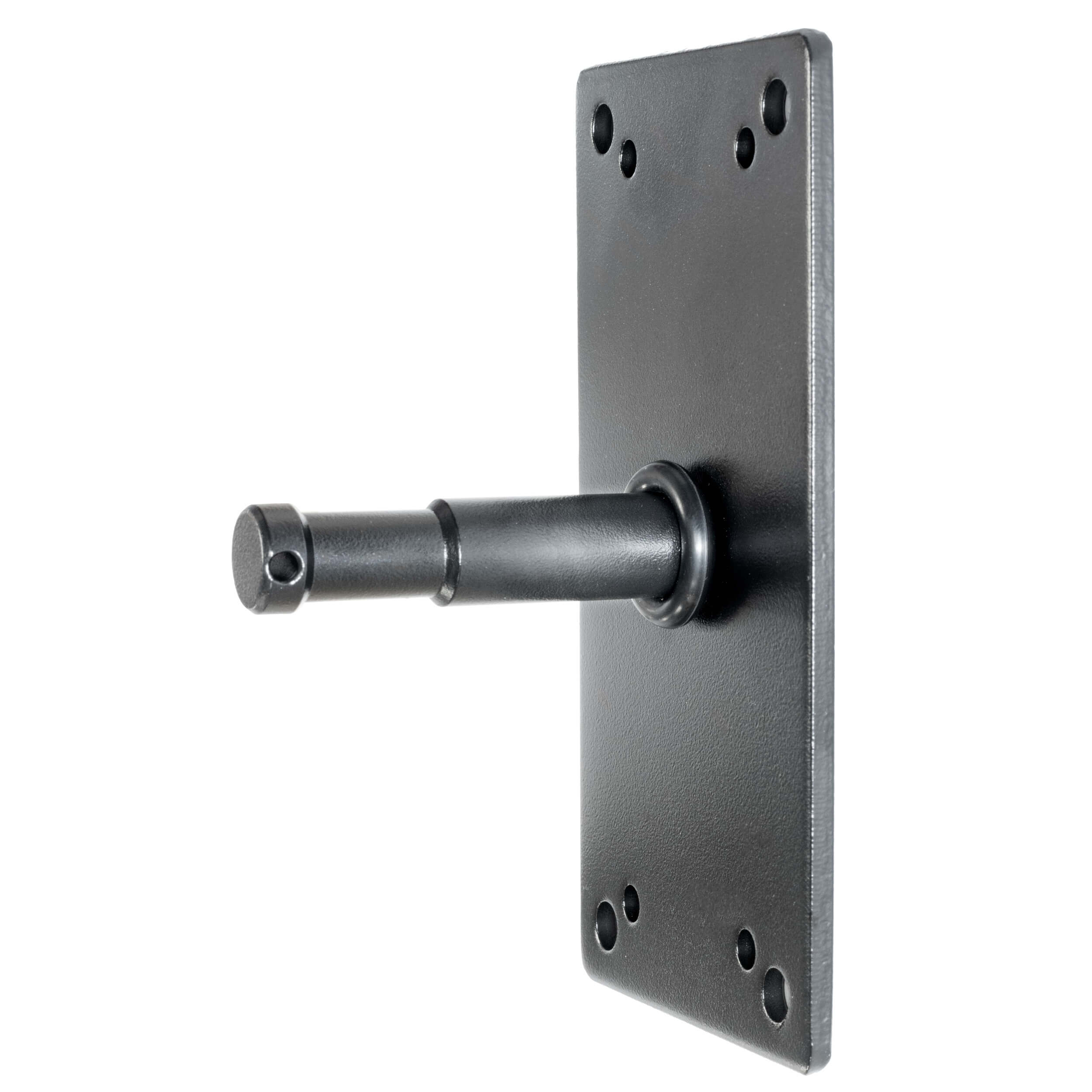 Baby Pigeon Wall Plate 6 Inch Baby Pin - BarnDoor Lighting