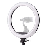 Pixapro RICO240 II RGB LED Ring Light Photography Videography Dimmable Lighting