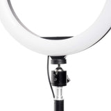  10" LED Ring Light Tripod Photo Video LED Lighting Kit