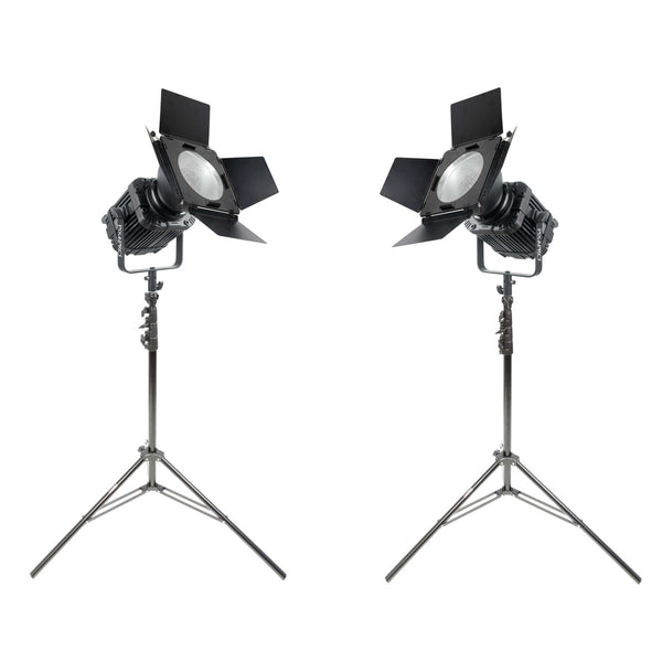 LED200D MKIII Daylight Balanced LED Studio Light Twin Kit