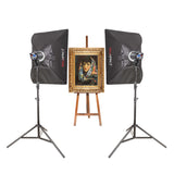 DAYLiTE60D MKII Twin Kit, for Photographing Medium-Sized Paintings
