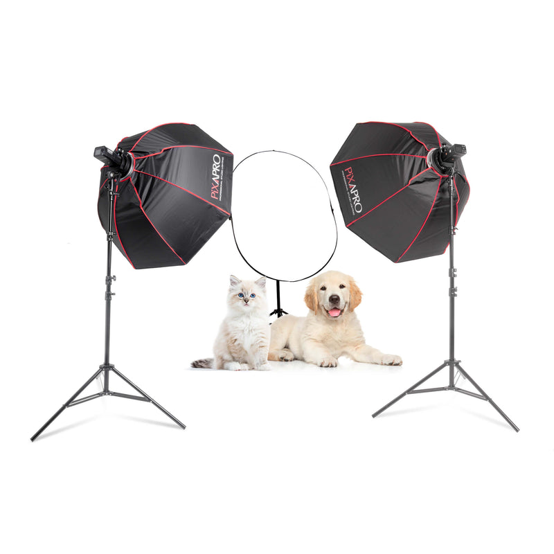 PIKA200PRO Mobile Pet Photography Flash Lighting Kit (GODOX AD200 PRO)