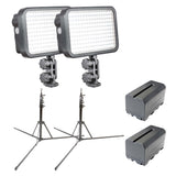 All-IN-1 Twin Kit LED170 Daylight-Balanced Panel Light with Stand & Batteries 
