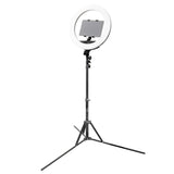 PixaPro RICO240B MKII LED Tablet Ring Light for Videos Kit