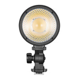 Litemons LC30D Handheld Daylight-Balanced LED Light By Godox