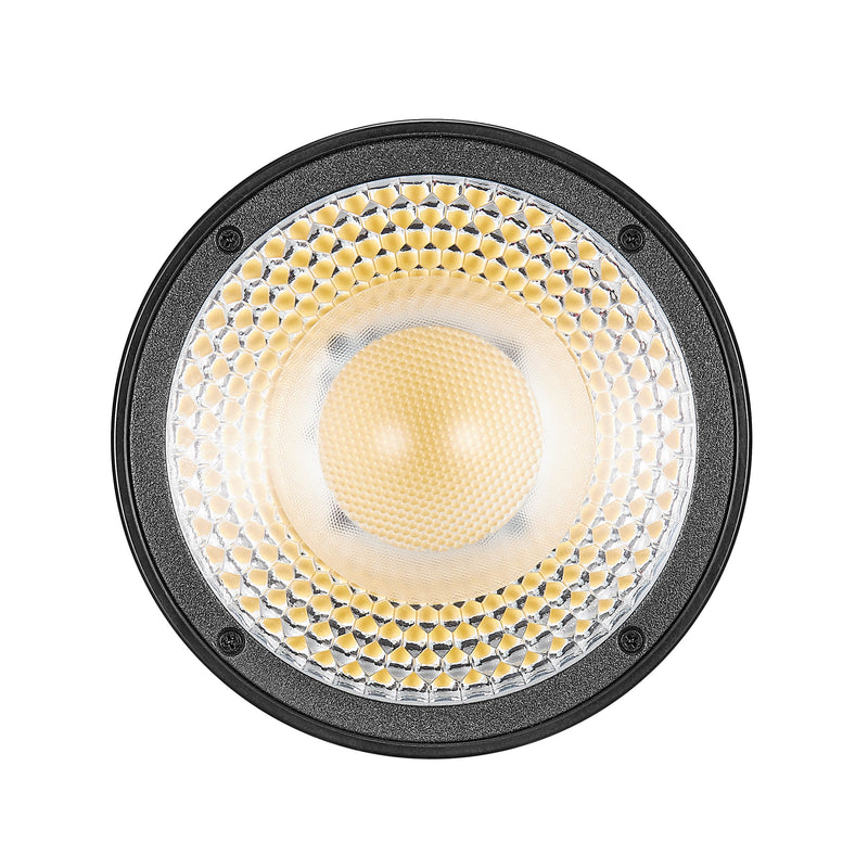 Litemons LC30D Handheld Daylight-Balanced LED Light By Godox